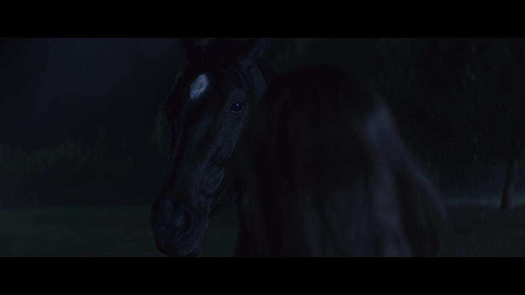 Black Beauty 2020 1080p DSNP WEB-DL Atmos H 264-EVO Black Beauty 2020 1080p DSNP WEB-DL Atmos H 264-EVO