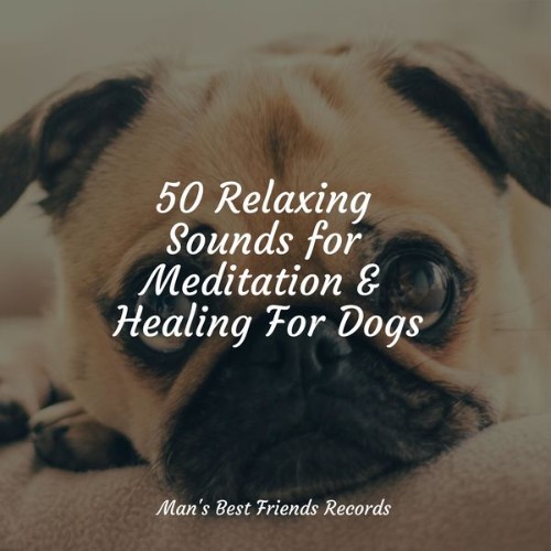 Music for Dogs Collective - 50 Relaxing Sounds for Meditation & Healing For Dogs - 2022