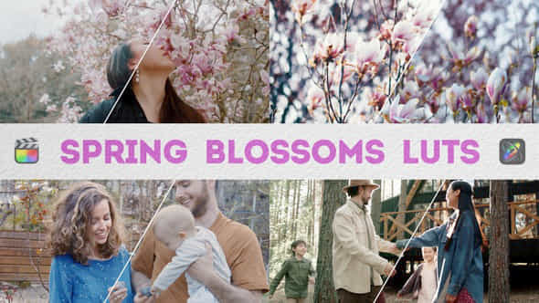Spring Blossoms Luts Fcpx - VideoHive 49292361