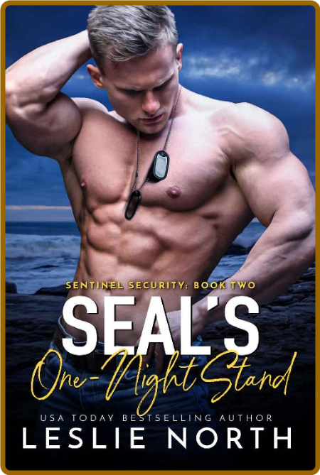 SEALs One-Night Stand- Leslie North 0KSku7yd_o