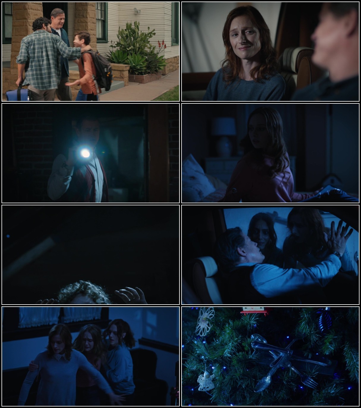 Family Ornaments (2023) 720p WEB h264-DiRT FzXaUGyC_o