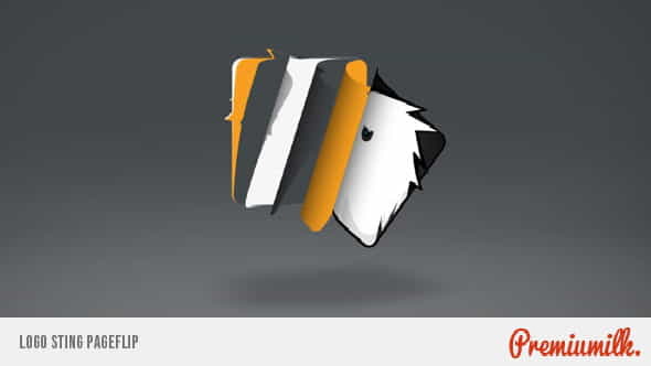 Logo Sting Page Flip - VideoHive 6608966