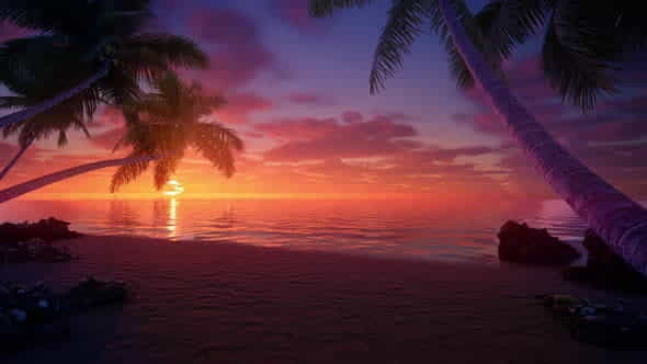 Free Download Beach Sunrise 4K | VideoHive 33055380 - AE SHARE
