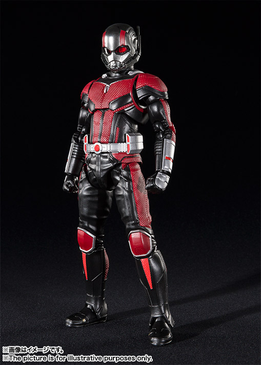 Ant-Man (Ant-Man & The Wasp) (S.H. Figuarts / Bandai) OZ0Fhw4Y_o
