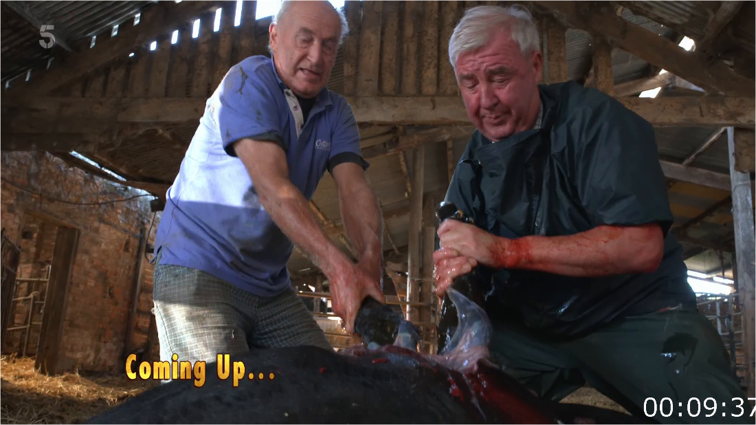 The Yorkshire Vet S19E06 [1080p] HDTV (H264) W8JanrDg_o