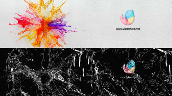 water Splash Logo - VideoHive 42881299