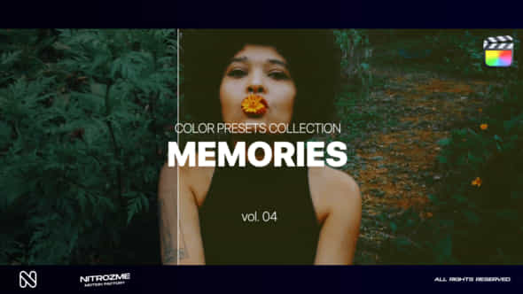 Memories LUT Collection - VideoHive 48341858