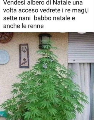 natale 2019 8v3SDnjO_o