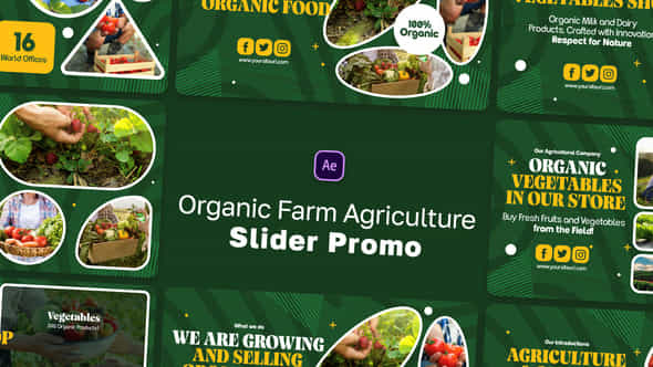 Organic Farm Agriculture - VideoHive 46116783