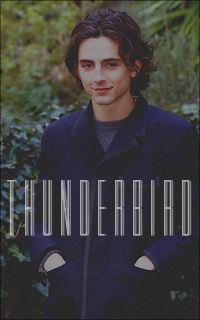 Timothée Chalamet Cb32bIoJ_o