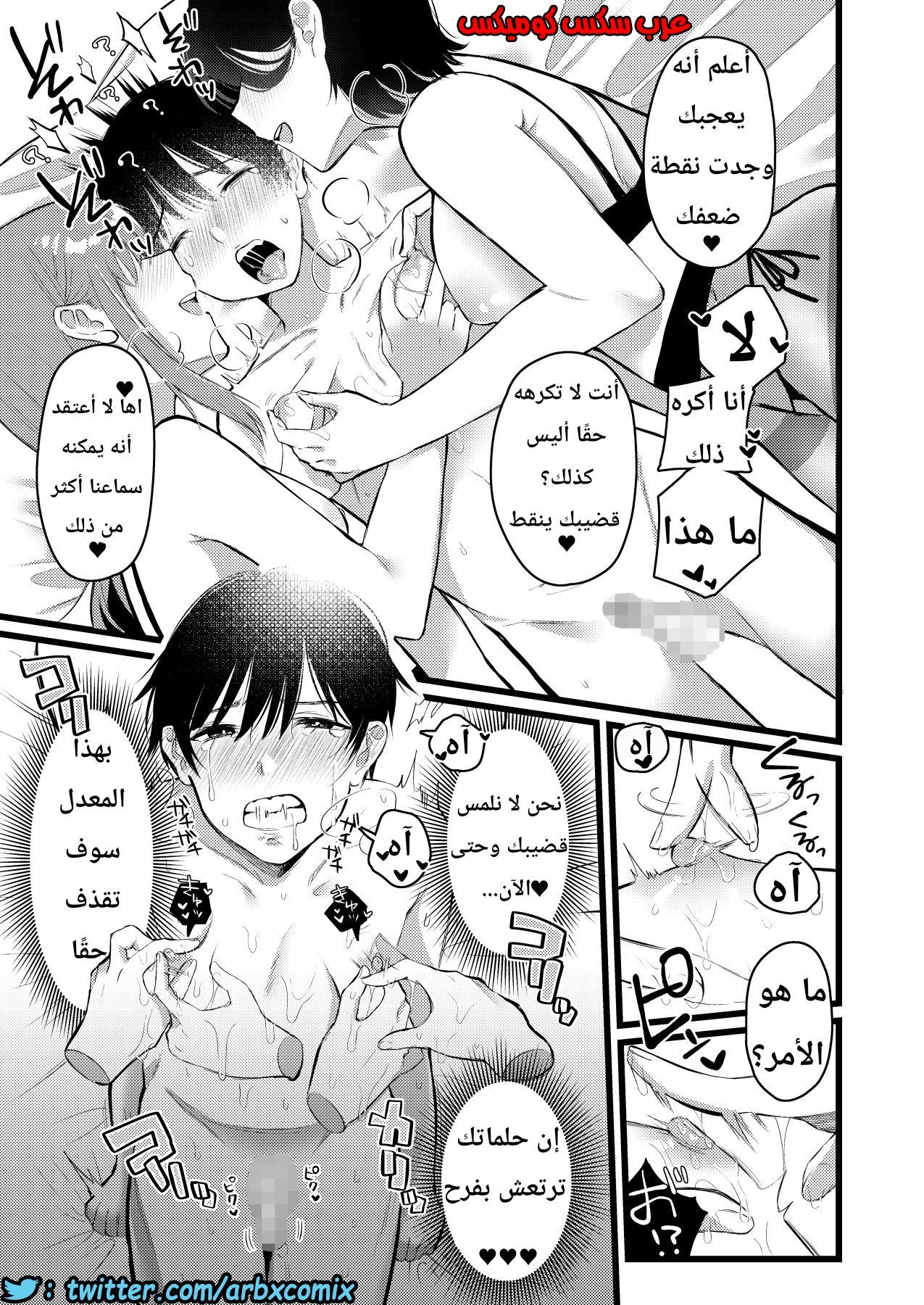 1133 قرية الفيمدوم
