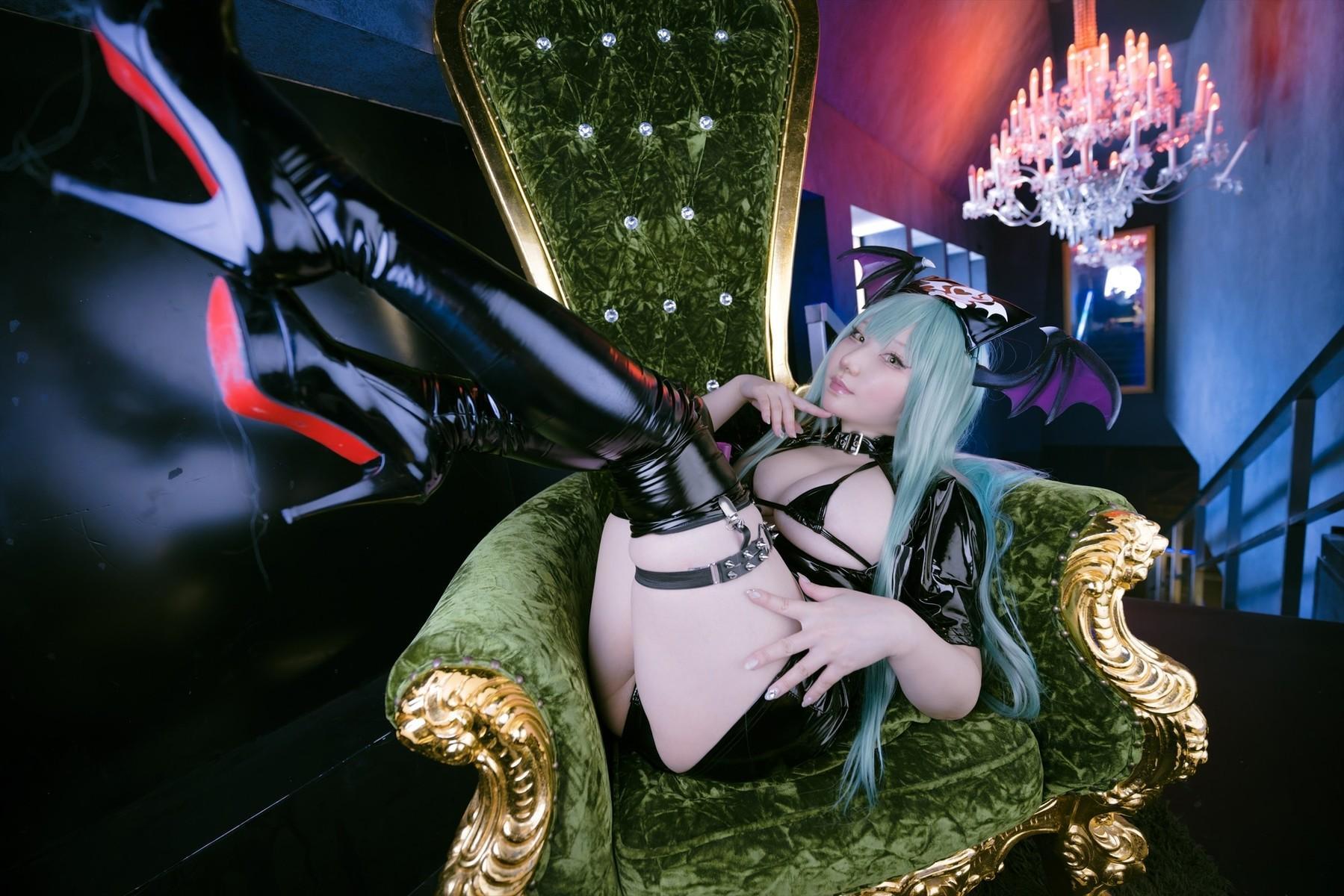 Cosplay SAKUサク Love builder Darkstalkers Set.01(26)