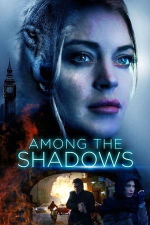 Among The Shadow 2019 720p BluRay x264-NTROPiC