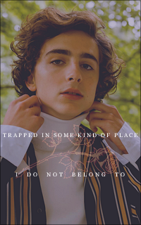 Timothée Chalamet RdwP6gLb_o