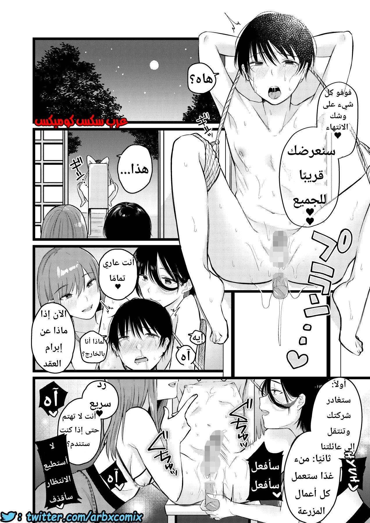 1133 قرية الفيمدوم