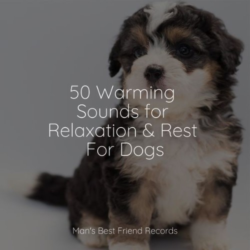 Relaxing Music for Dogs - 50 Warming Sounds for Relaxation & Rest For Dogs - 2022