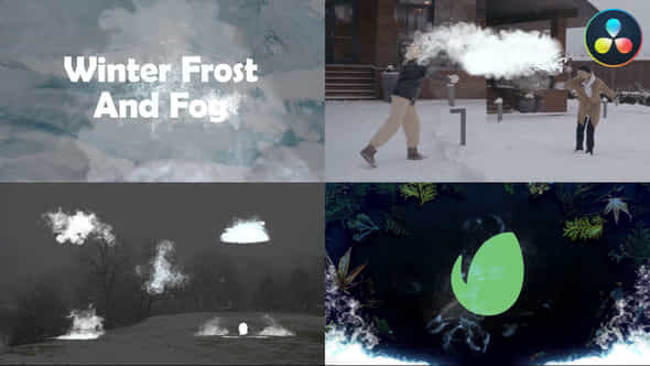 Winter Frost And - VideoHive 42179839