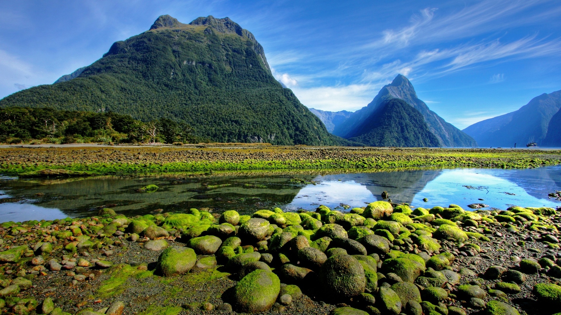 New-Zealand1.jpg