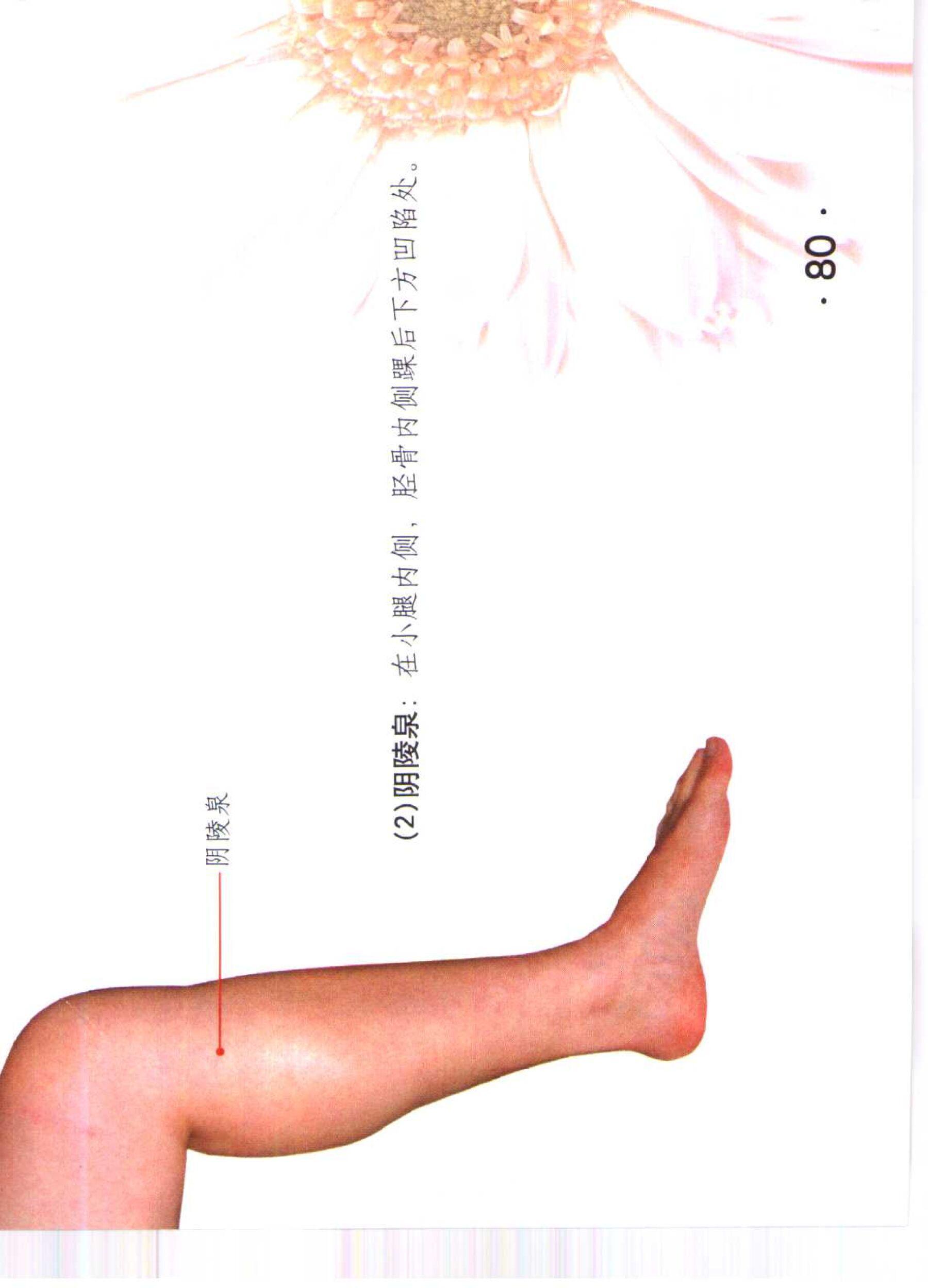 书籍扫描 乳房保健按摩彩色图谱(85)