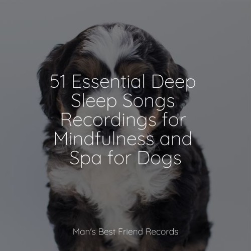 Music for Dog's Ears - 51 Essential Deep Sleep Songs Recordings for Mindfulness and Spa for Dogs ...