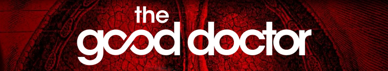 The Good Doctor S03E06 45-Degree Angle (1080p AMZN Webrip x265 10bit EAC3 5 1 - Goki)