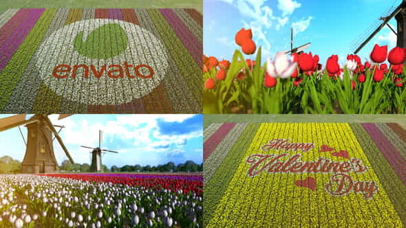 Flower Field - VideoHive 30180636