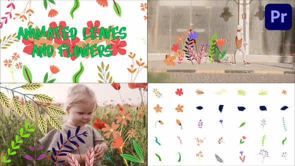 Animated Leaves And - VideoHive 40441587