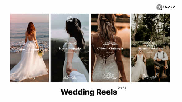 Wedding Reels Vol 14 - VideoHive 49308056