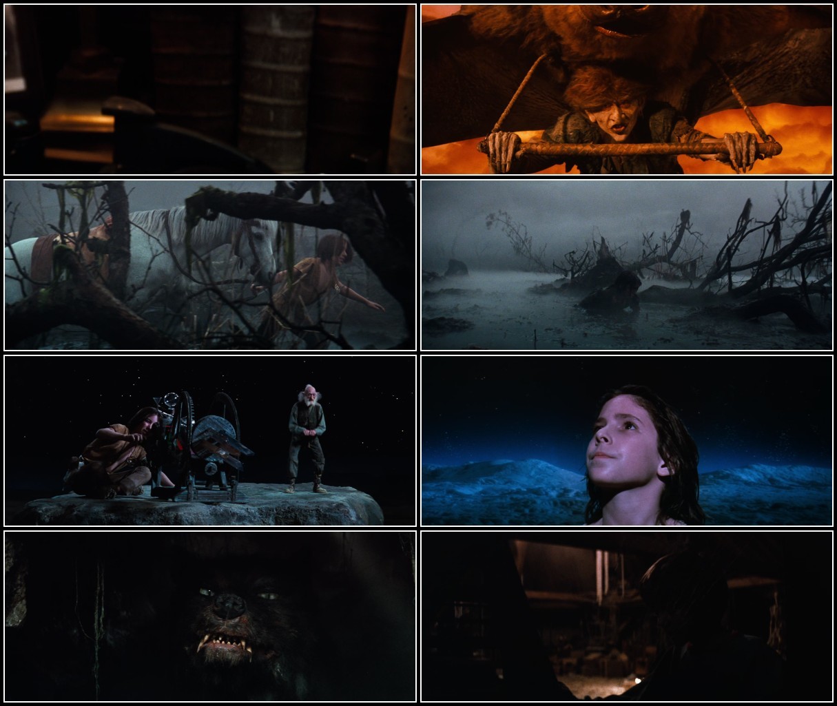 The NeverEnding Story (1984) 1080p MAX WEB-DL DDP 5 1 H 265-PiRaTeS NohyNBYP_o