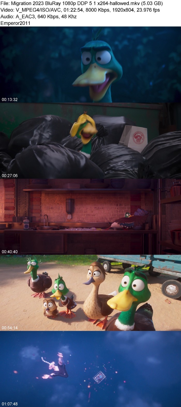 ncuqtKkO_o.jpg