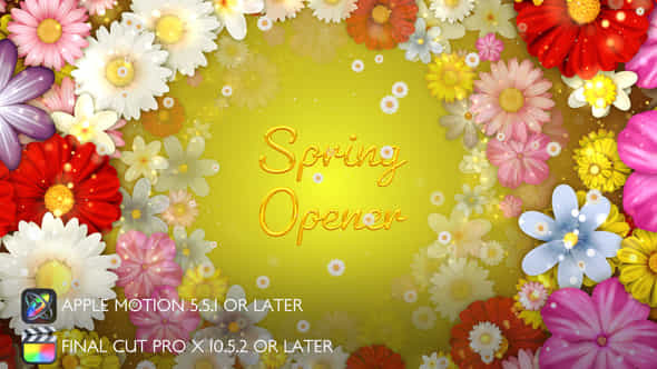 Spring Flowers Titles - VideoHive 44761591