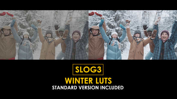 Slog3 Winter And Standard Color Luts - VideoHive 51104303