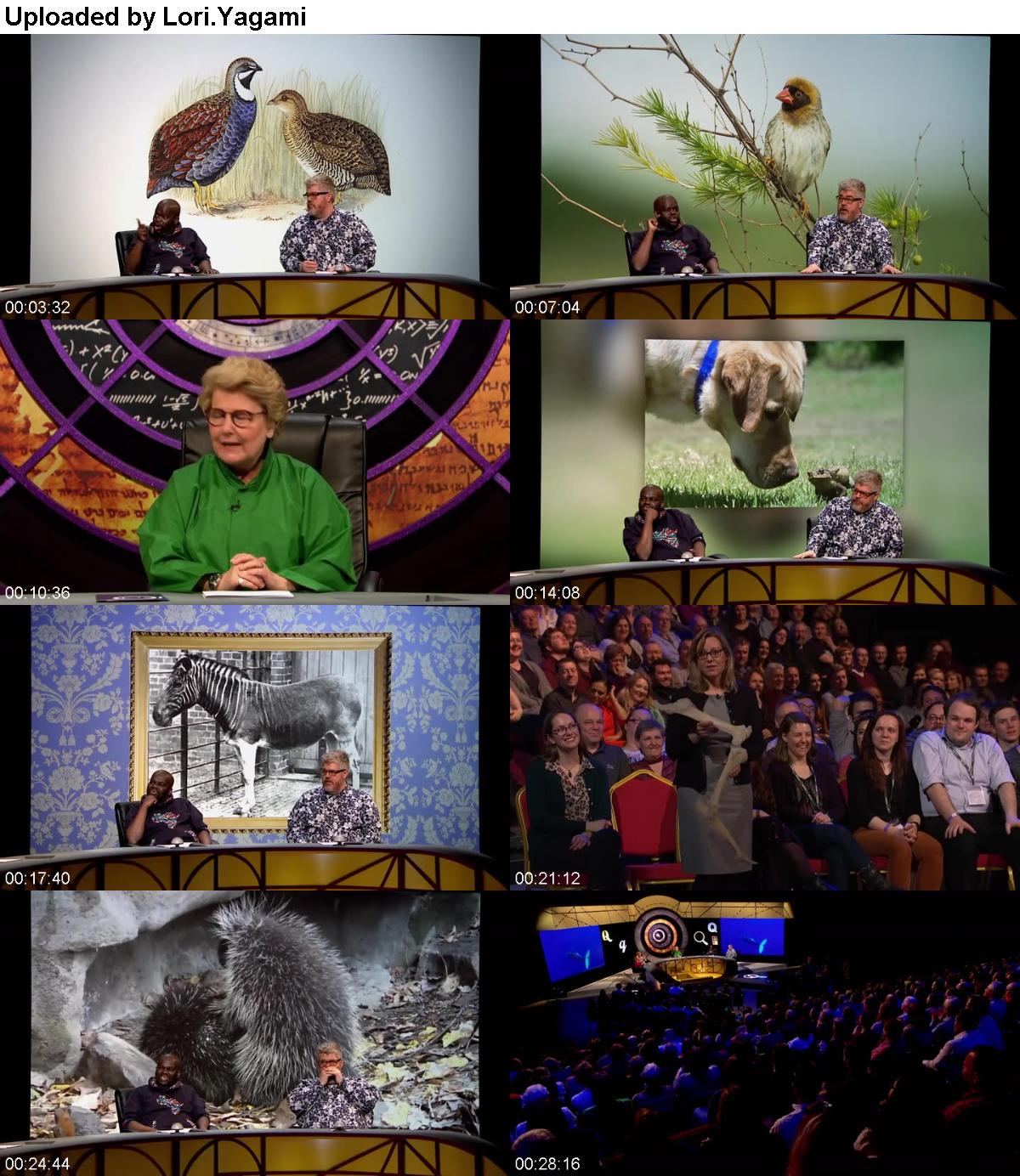 QI S17E07 Qanimals HDTV x264-LINKLE