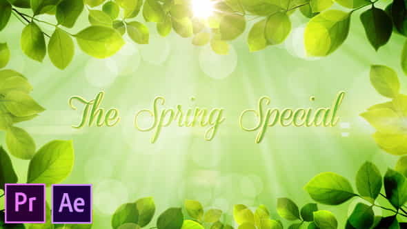 The Spring Special - Promo - VideoHive 26322422