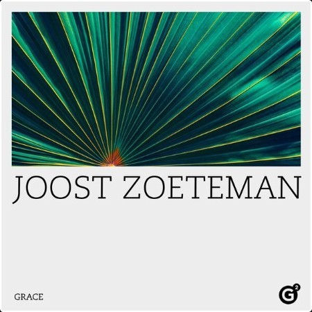 Joost Zoeteman - Grace (2024) [24Bit-96kHz] FLAC  QVJcl4PD_o