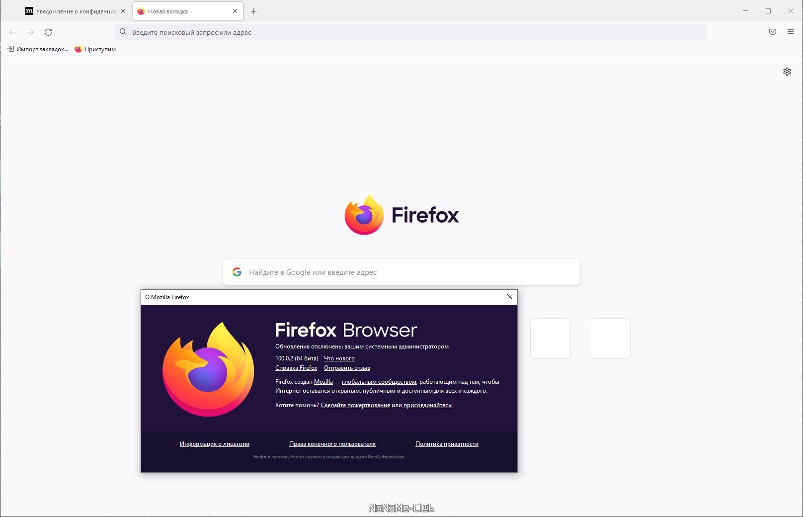Firefox Browser 100.0.2 Portable by PortableApps [Ru]