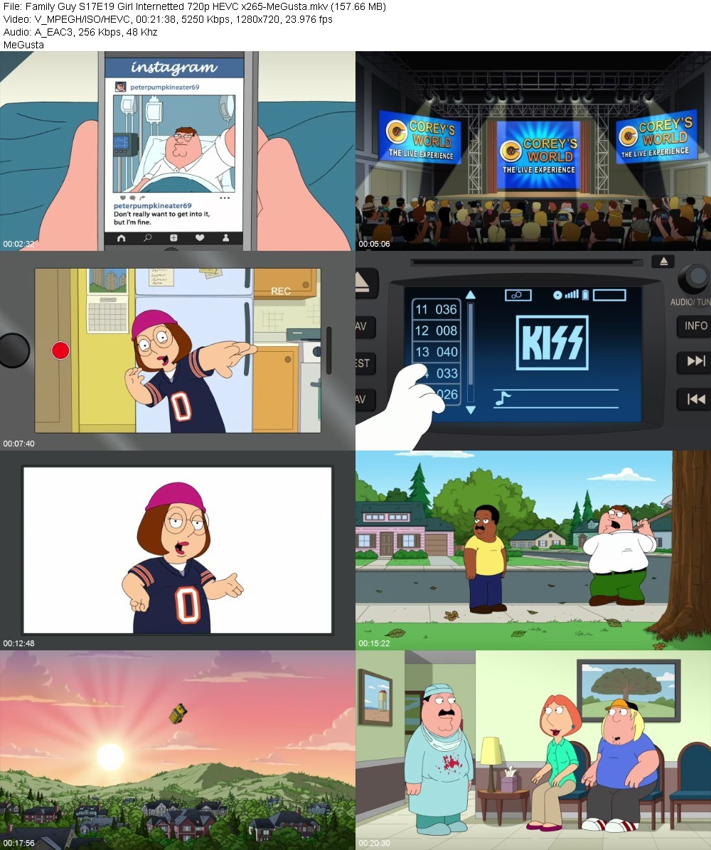 Family Guy S17E19 Girl Internetted 720p HEVC x265-MeGusta