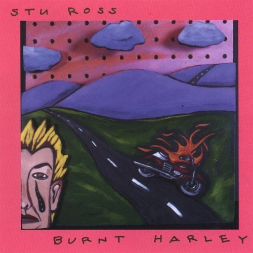 Stu Ross - Burnt Harley - 1997