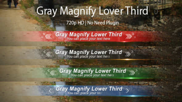 Gray Magnify Lower - VideoHive 3029036
