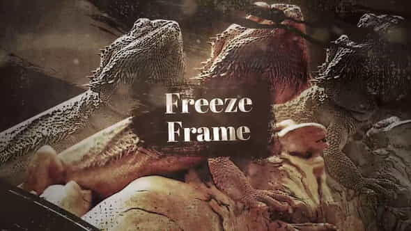 Westland Freeze Frame - VideoHive 35228011