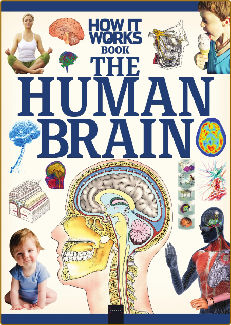 How It Works The Human Brain 1st Edition