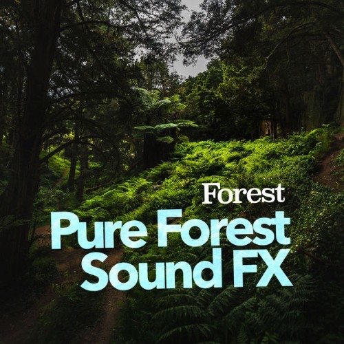 Forest - Pure Forest Sound FX - 2019