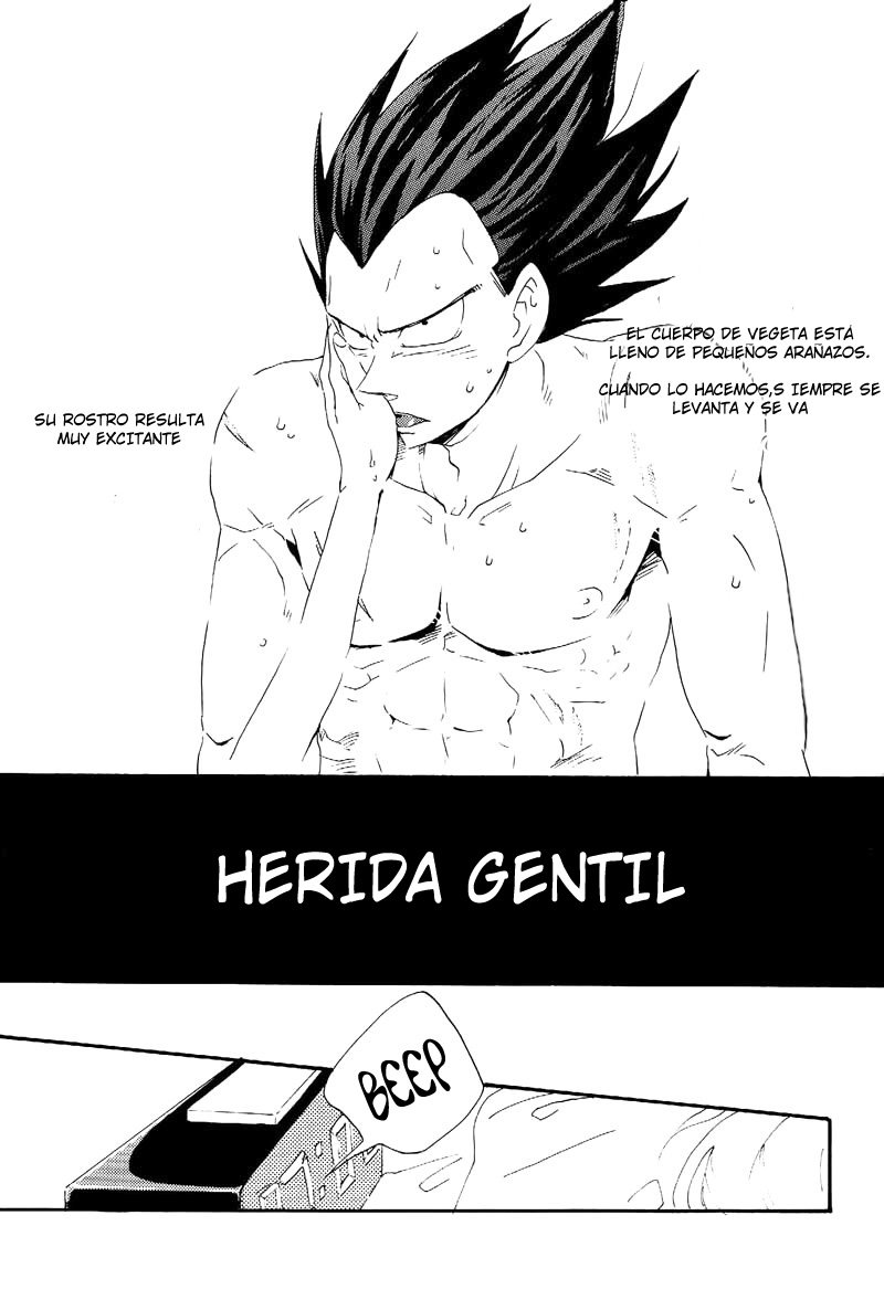 Gentle Wound (Dragon Ball) - Oniyuri - 2