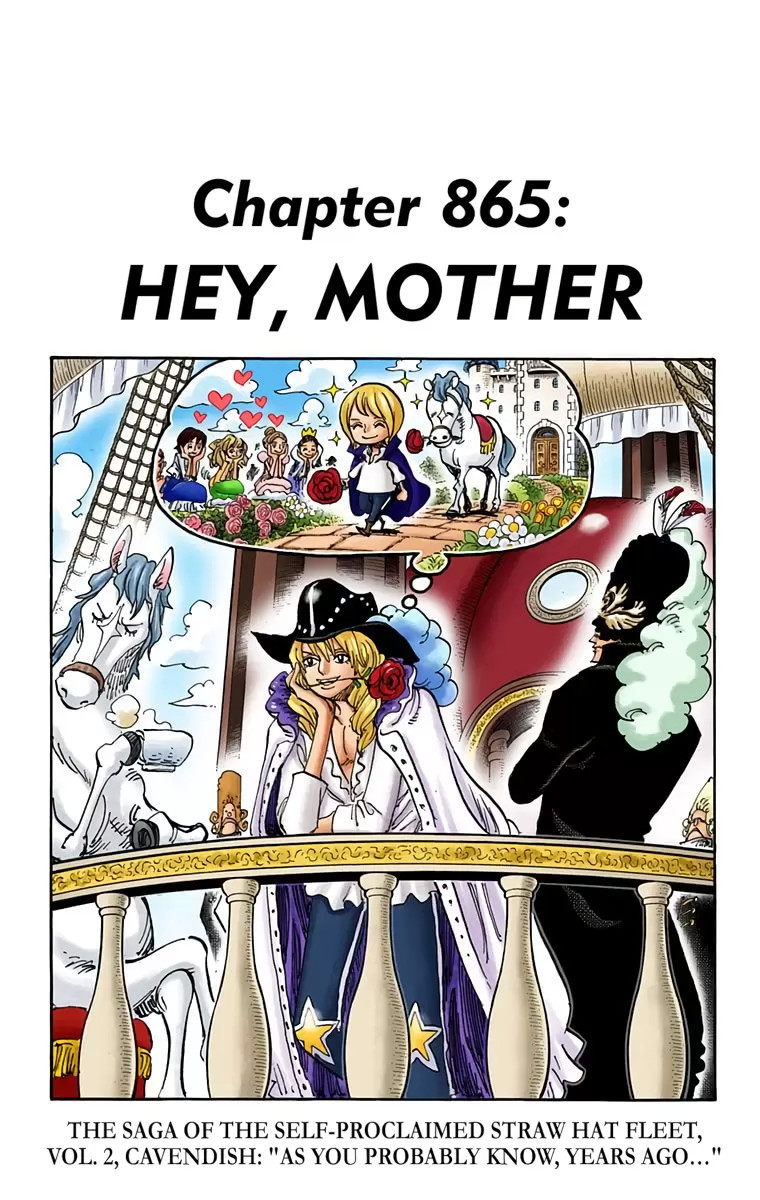 One Piece Manga 865 Full Color One Piece Fans