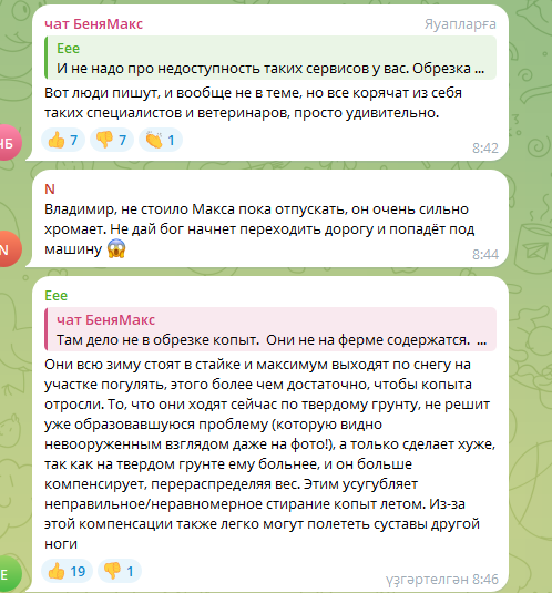 ldIdeSV7_o.png