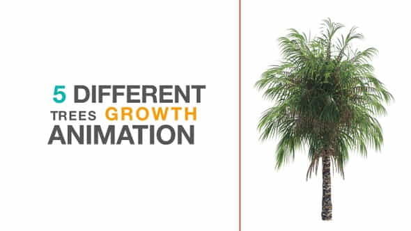 Growth Trees - VideoHive 23370473
