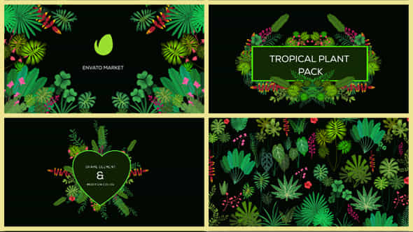 Tropical Plant Pack - VideoHive 20676721