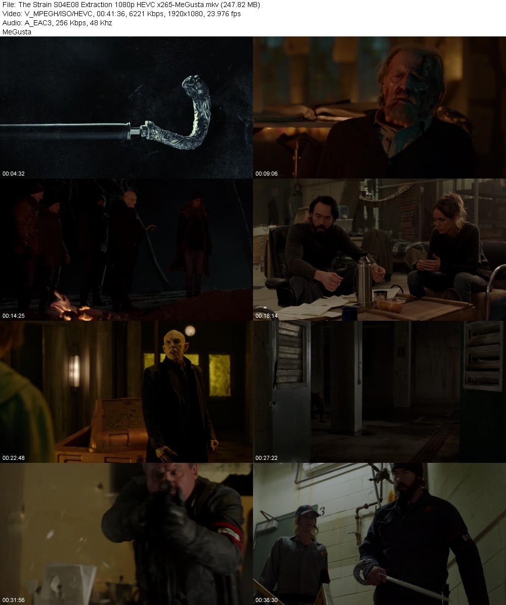 The Strain S04E08 Extraction 1080p HEVC x265-MeGusta