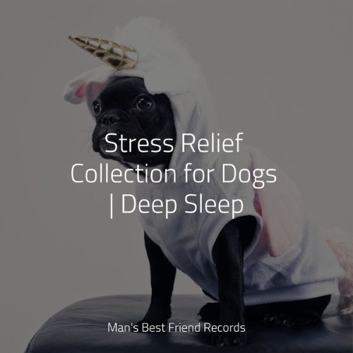 Sleepy Dogs - Stress Relief Collection for Dogs  Deep Sleep - 2022