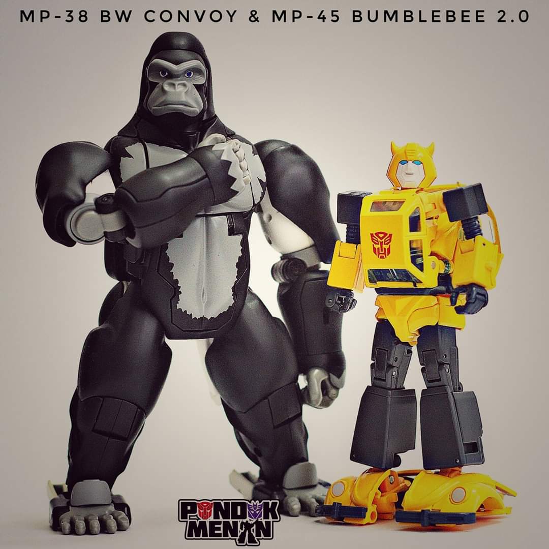 [Masterpiece] MP-45 Bumblebee/Bourdon v2.0 - Page 4 84kfXD8B_o